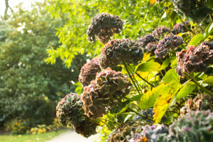 OMG!电竞大神陨落,国际排名一夜之间跌出前十!