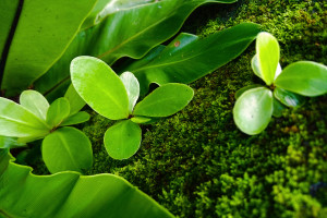 偶像的力量!费德勒的优雅,不只在网球,更在永不放弃的精神! 偶像的力量!费德勒的优雅,不只在网球,更在永不放弃的精神!